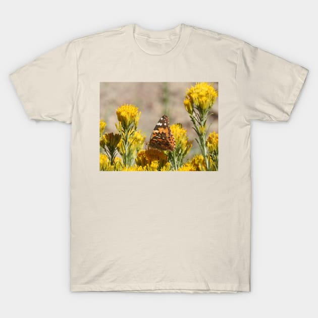 Butterfly, wildlife, insects, nature, gifts, Natures Grace T-Shirt by sandyo2ly